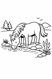 tegning af hest drikker vand ved en sø – nature illustration
