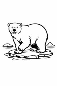 tegning af isbjørn i vintage børnebogsstil – vintage illustration