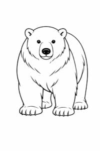 tegning af isbjørn i semi-realistisk stil – semi-realistic