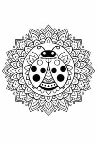tegning af mariehøne i mandala mønster – mandala coloring