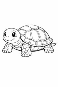 tegning af skildpadde i semi-realistisk stil – semi-realistic