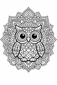 tegning af ugle i mandala mønster – mandala coloring