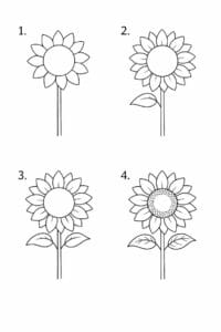 trin for trin tegning af en solsikke blomst – simpel lær at tegne opgave