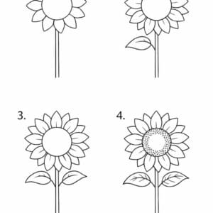 trin for trin tegning af en solsikke blomst – simpel lær at tegne opgave