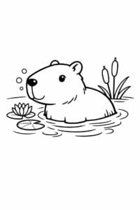 tegning af Capybara i vand – watercolor
