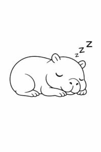 tegning af Capybara der sover – soft illustration