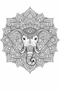 tegning af Elefant mandala – indian style