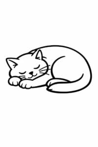 tegning af Cozy cat sleeping – bold and easy