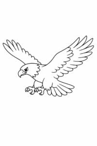 tegning af Flyvende ørn – Simple outline