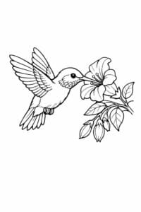 tegning af Kolibri ved blomst – Detailed realistic
