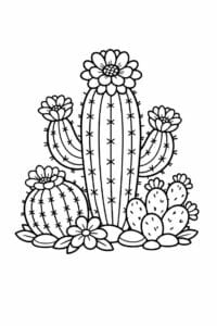 tegning af Kaktus med blomster – Dekorativ