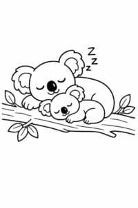 tegning af Koala der sover – Rolig scene