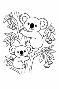 tegning af Koala med eukalyptus – Naturscene