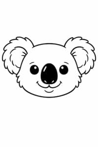 tegning af Koala ansigt – Nærbillede