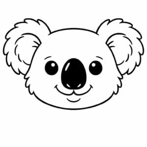 tegning af Koala ansigt - Nærbillede
