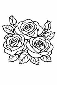 tegning af Rose tæt på – Nærbillede