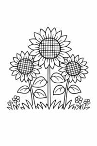 tegning af Solsikke blomst – Enkel streg