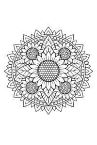 tegning af Solsikke mandala – Mandala mønster