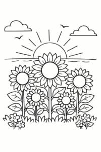 tegning af Solsikke i solnedgang – Rolig scene
