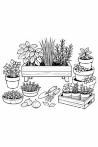 tegning af Tiny herb garden – Fresh and simple