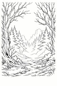 tegning af Skoven i tåge – Mystical and soft