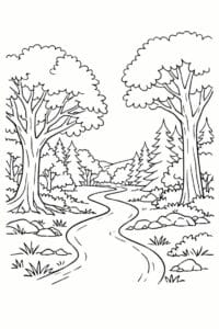 tegning af Skoven med sti – Simple and inviting