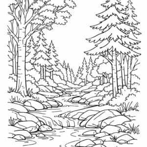 tegning af Skoven med bæk - Serene and fresh