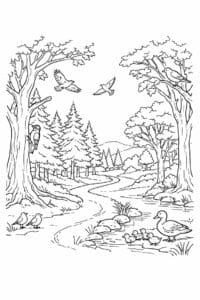 tegning af Skoven med fugle – Peaceful and natural