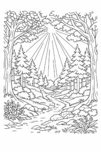 tegning af Skoven med solstråler – Bright and peaceful